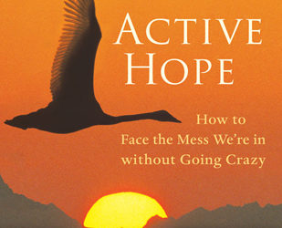 Book Review: Active Hope by Macy and Johnstone