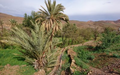 Southern Morocco: a great place to learn about the roots of happiness