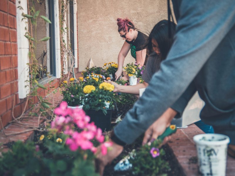Natural Happiness: Use Gardening Skills to Cultivate Yourself